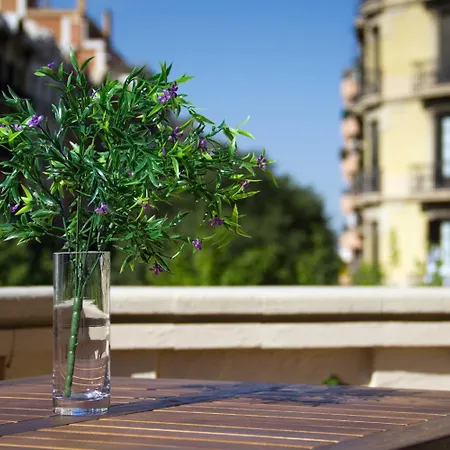 Pensionat Hostalin Diputacion